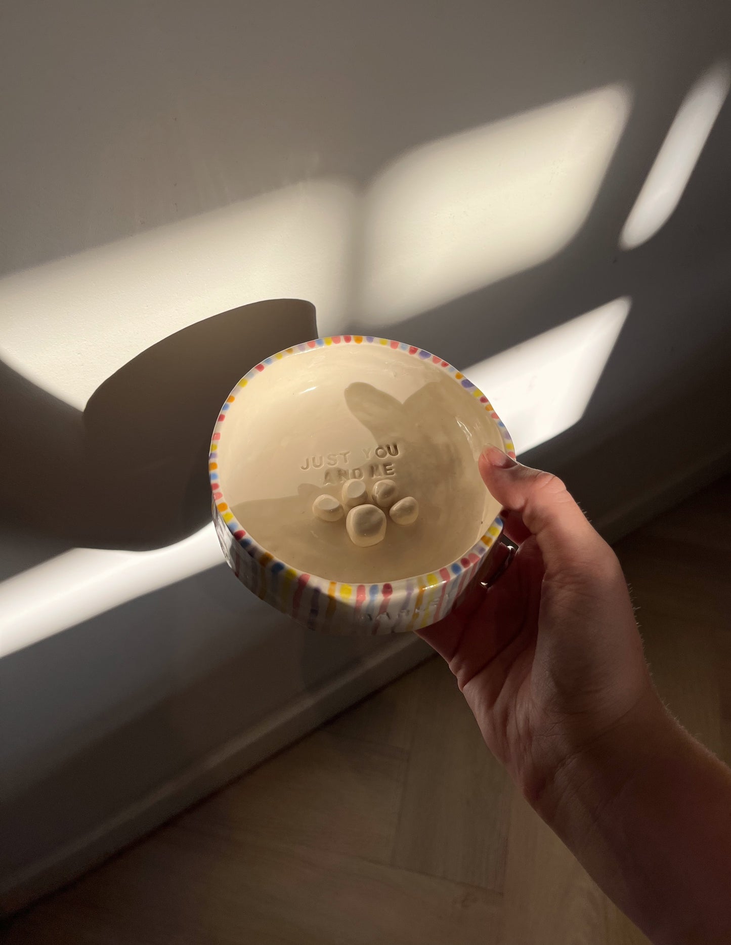 The rainbow custom pet bowl