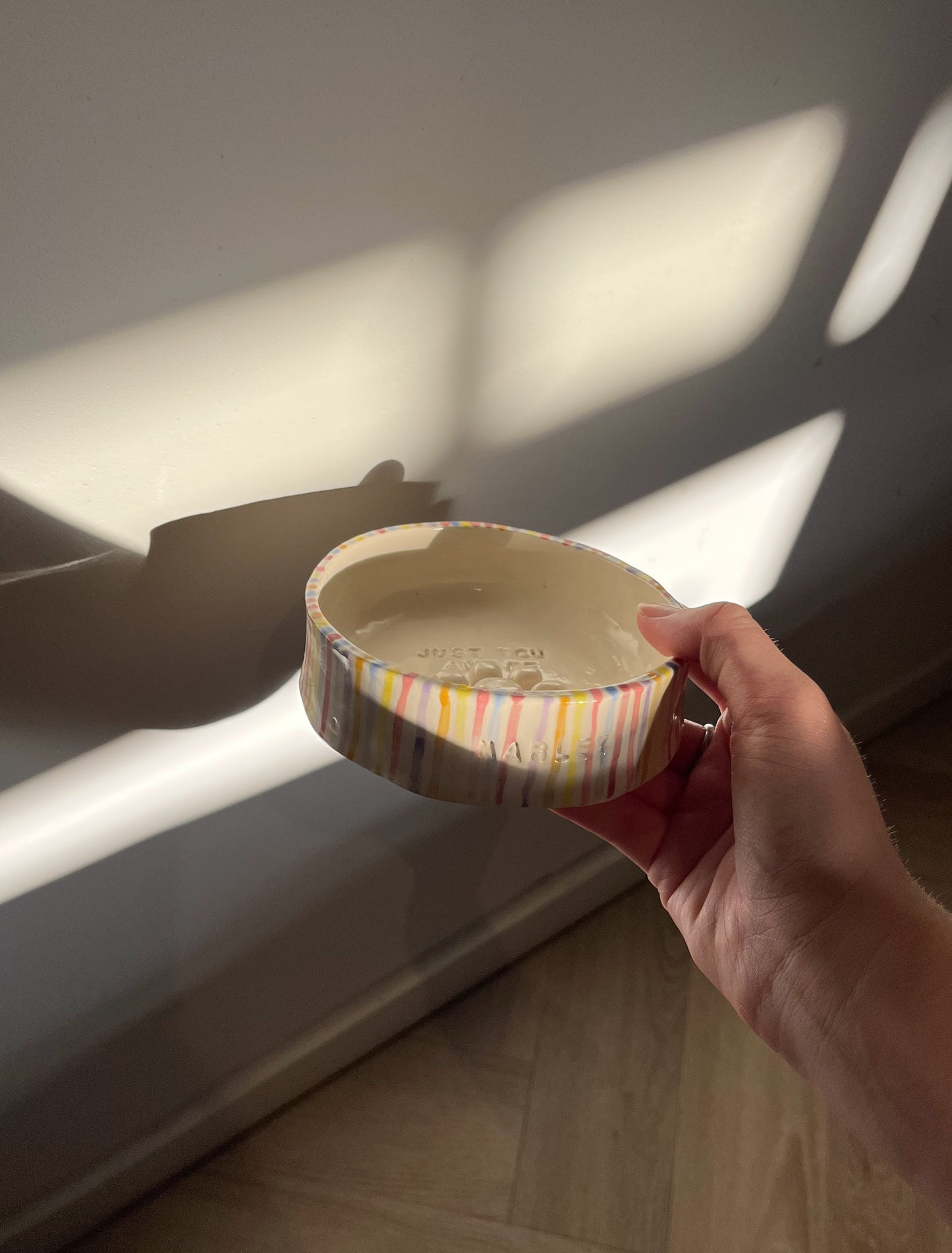 The rainbow custom pet bowl